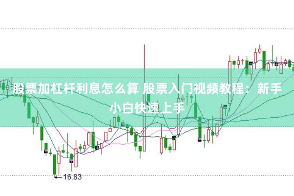 股票加杠杆利息怎么算 股票入门视频教程：新手小白快速上手
