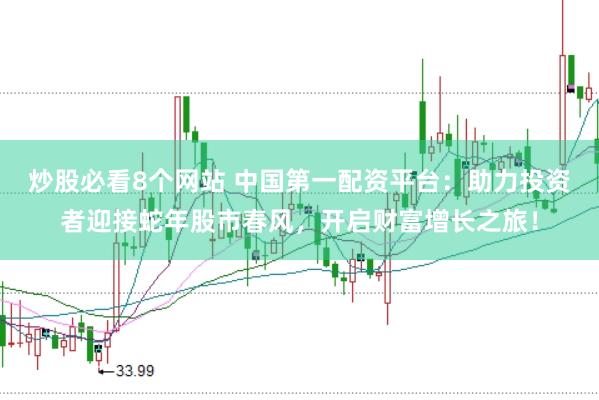 炒股必看8个网站 中国第一配资平台：助力投资者迎接蛇年股市春风，开启财富增长之旅！