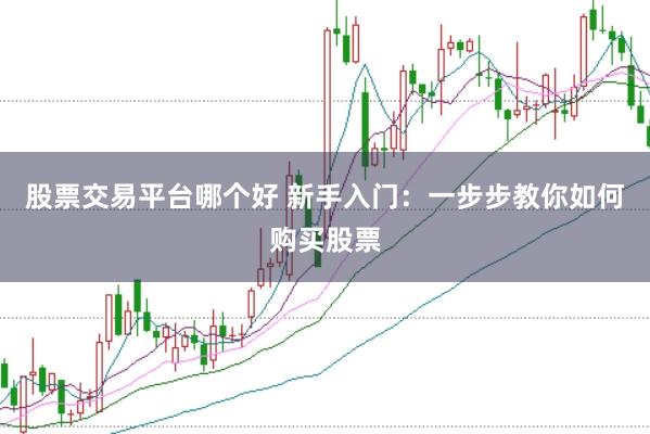 股票交易平台哪个好 新手入门：一步步教你如何购买股票