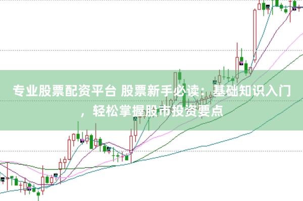 专业股票配资平台 股票新手必读：基础知识入门，轻松掌握股市投资要点