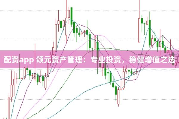 配资app 颂元资产管理：专业投资，稳健增值之选