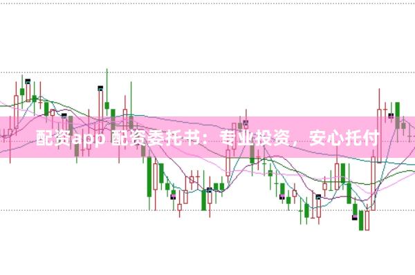 配资app 配资委托书：专业投资，安心托付