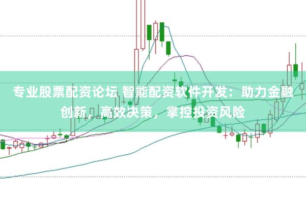 专业股票配资论坛 智能配资软件开发：助力金融创新，高效决策，掌控投资风险