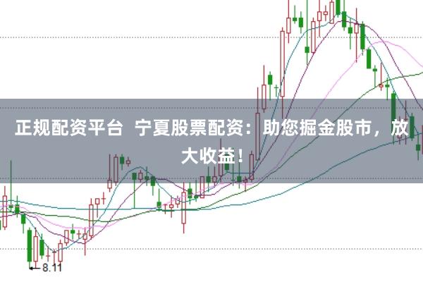 正规配资平台  宁夏股票配资：助您掘金股市，放大收益！