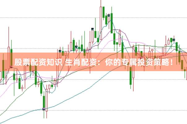 股票配资知识 生肖配资：你的专属投资策略！
