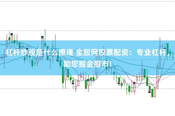 杠杆炒股是什么原理 金股网股票配资：专业杠杆，助您掘金股市！