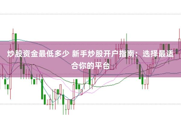 炒股资金最低多少 新手炒股开户指南：选择最适合你的平台