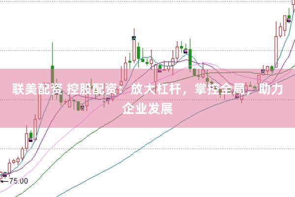 联美配资 控股配资：放大杠杆，掌控全局，助力企业发展