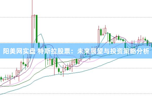 阳美网实盘 特斯拉股票：未来展望与投资策略分析